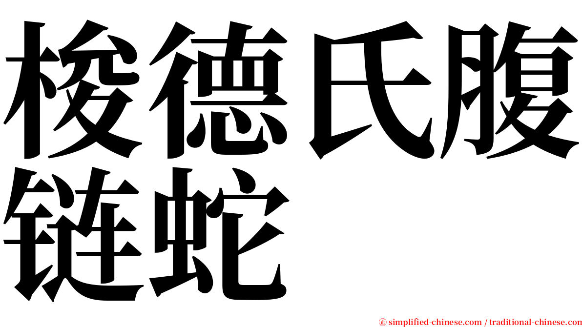 梭德氏腹链蛇 serif font