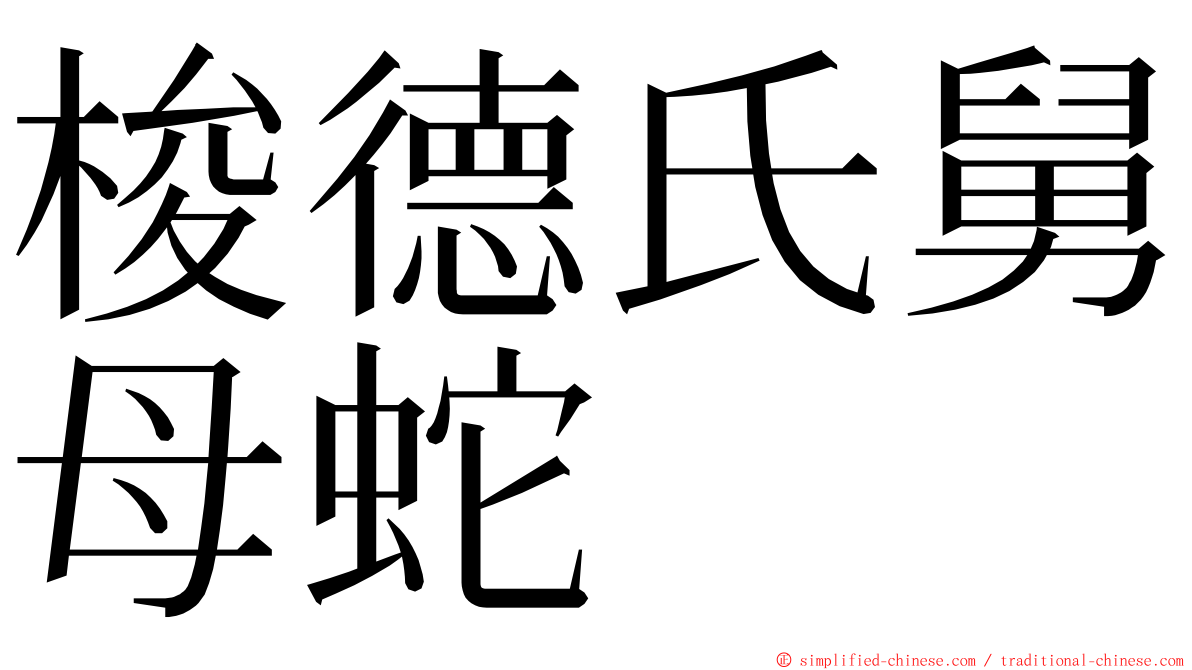 梭德氏舅母蛇 ming font