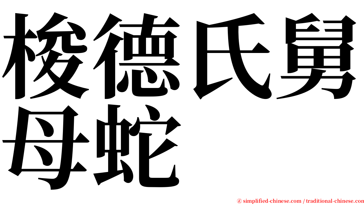 梭德氏舅母蛇 serif font