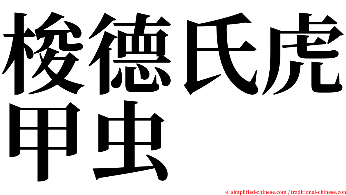 梭德氏虎甲虫 serif font