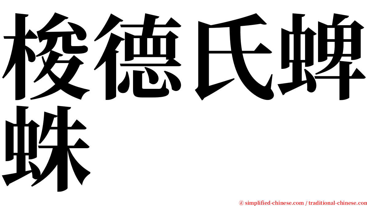 梭德氏蜱蛛 serif font