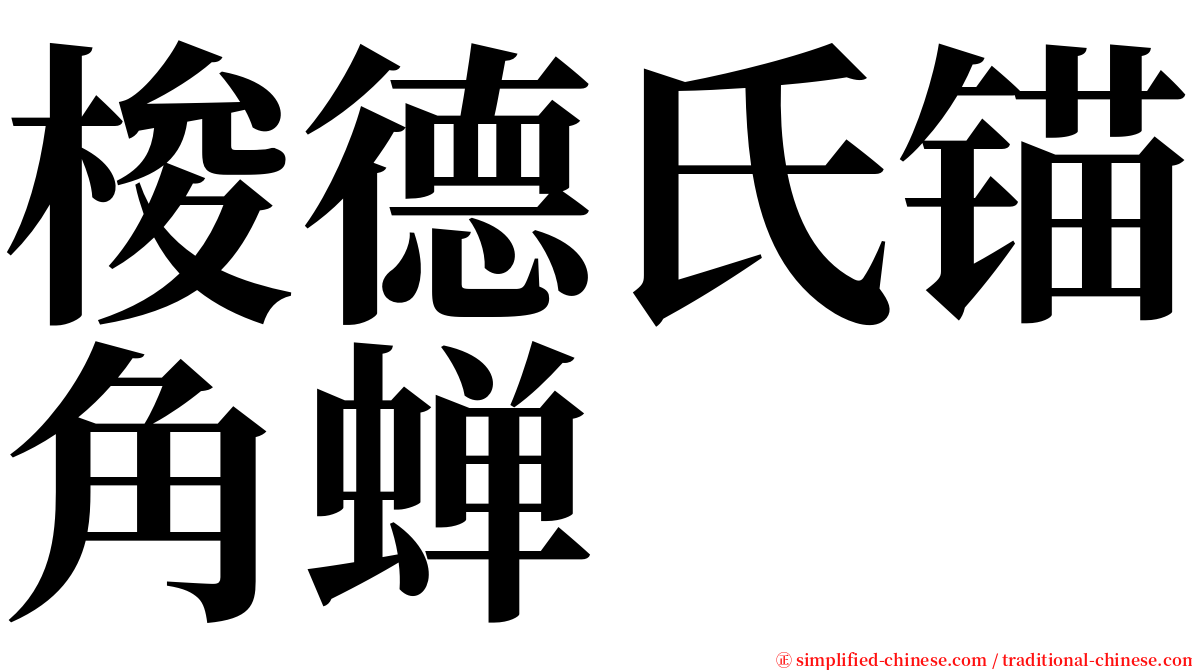 梭德氏锚角蝉 serif font