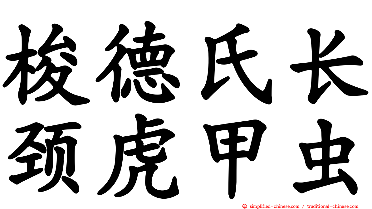 梭德氏长颈虎甲虫