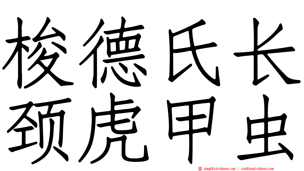 梭德氏长颈虎甲虫