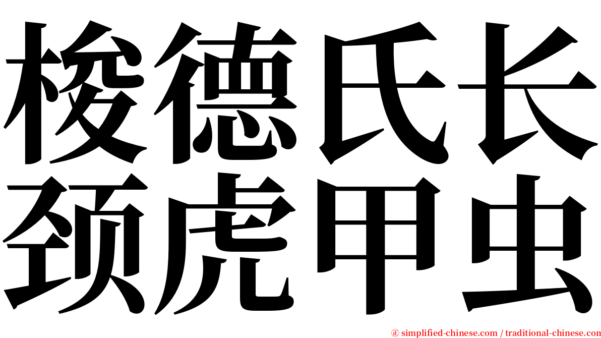 梭德氏长颈虎甲虫 serif font