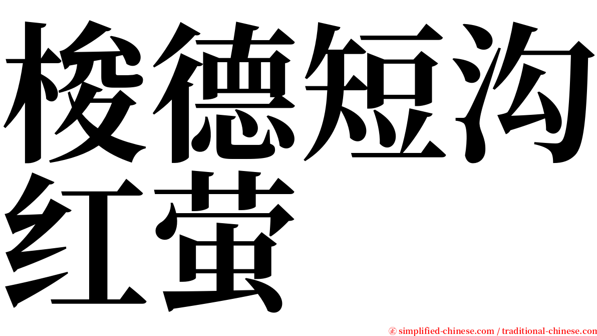 梭德短沟红萤 serif font