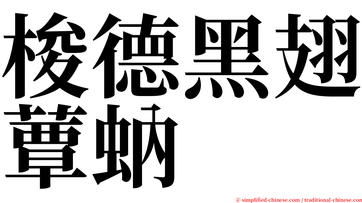 梭德黑翅蕈蚋 serif font