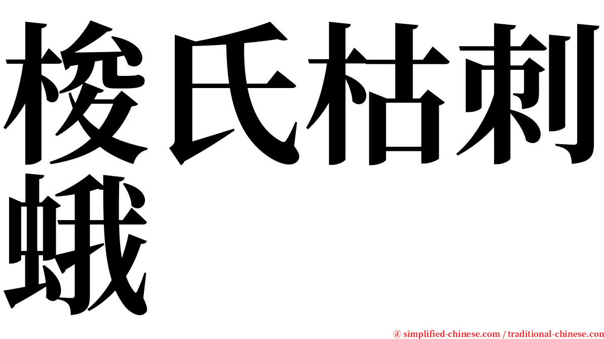 梭氏枯刺蛾 serif font