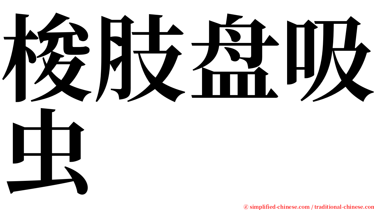 梭肢盘吸虫 serif font