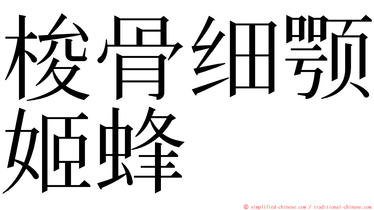 梭骨细颚姬蜂 ming font