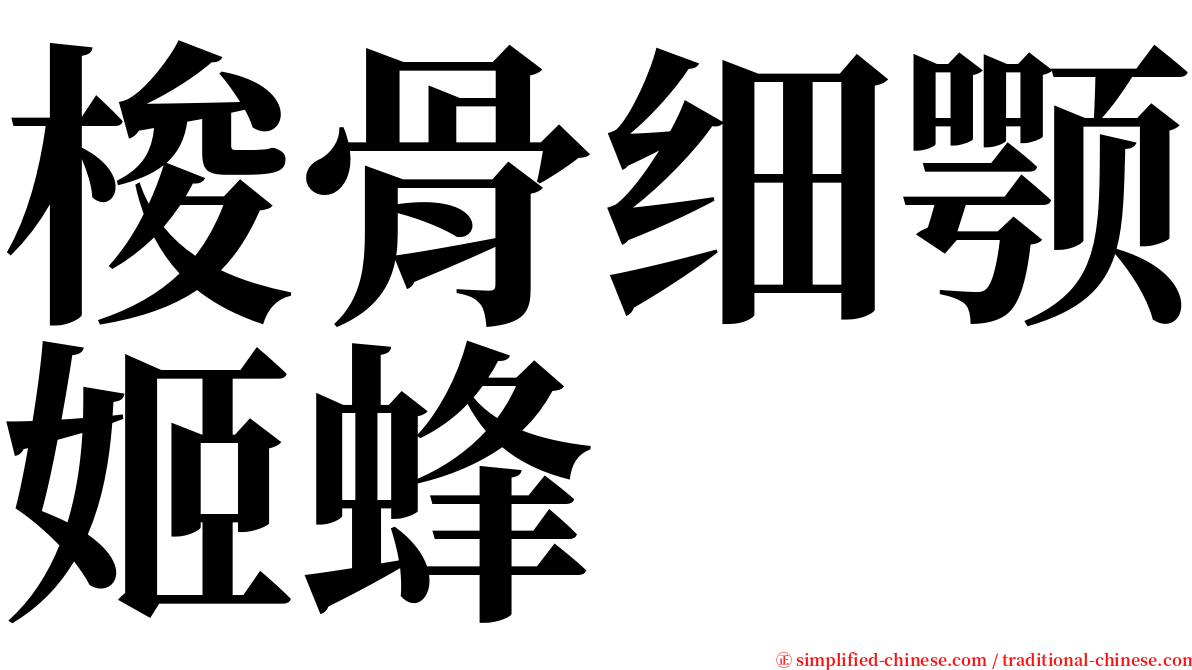 梭骨细颚姬蜂 serif font