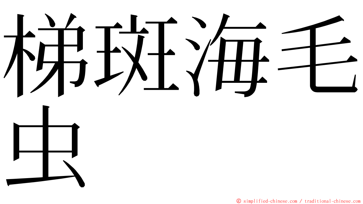 梯斑海毛虫 ming font
