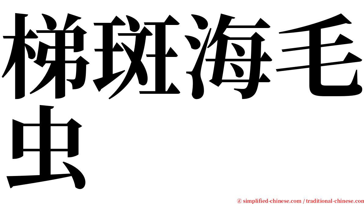 梯斑海毛虫 serif font