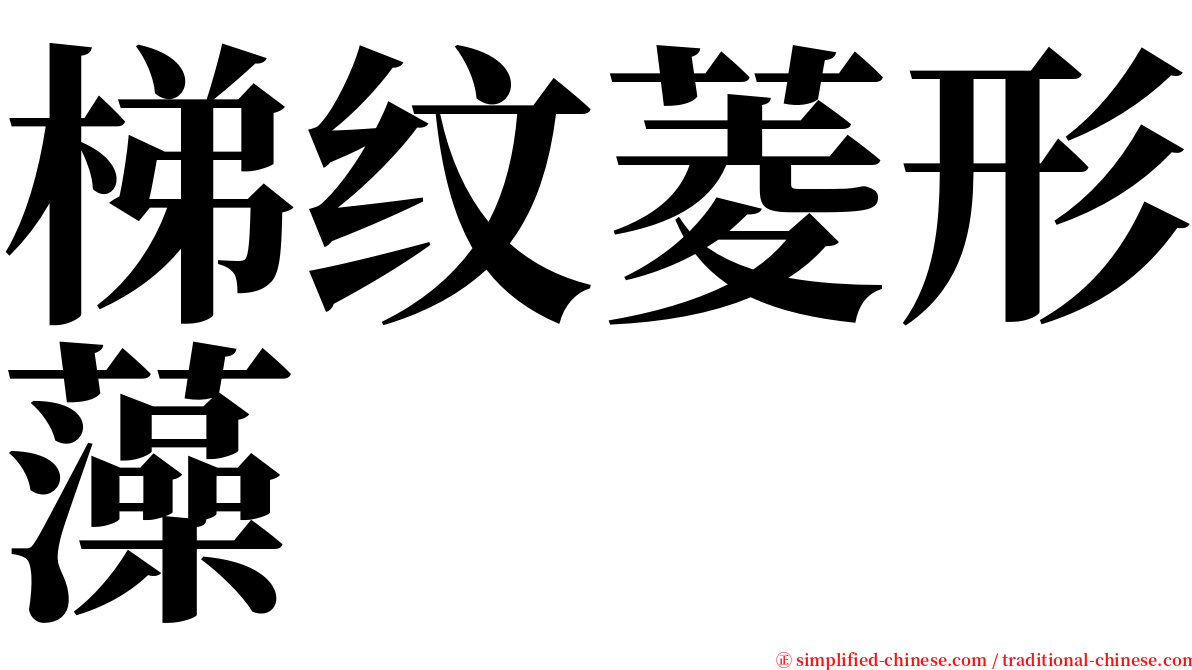 梯纹菱形藻 serif font