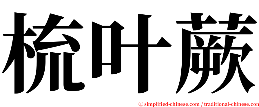 梳叶蕨 serif font