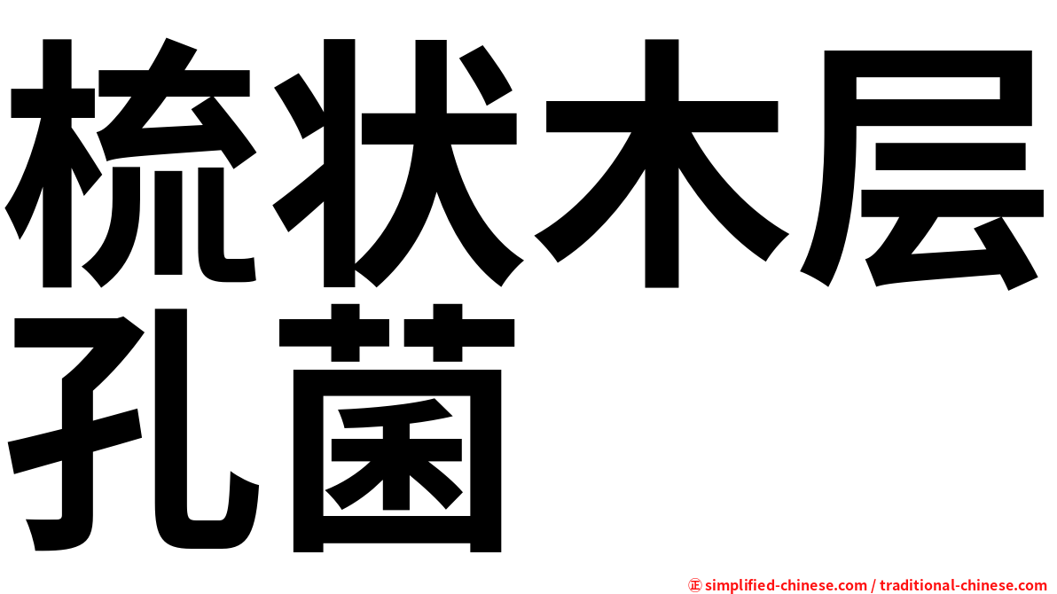 梳状木层孔菌