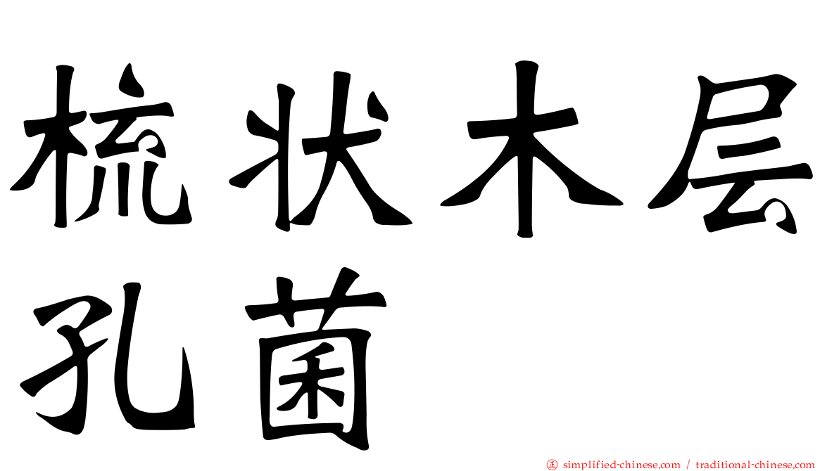梳状木层孔菌