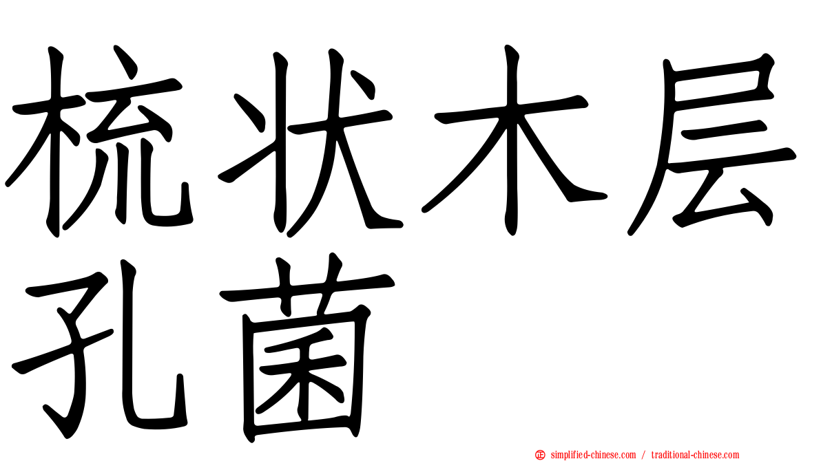 梳状木层孔菌