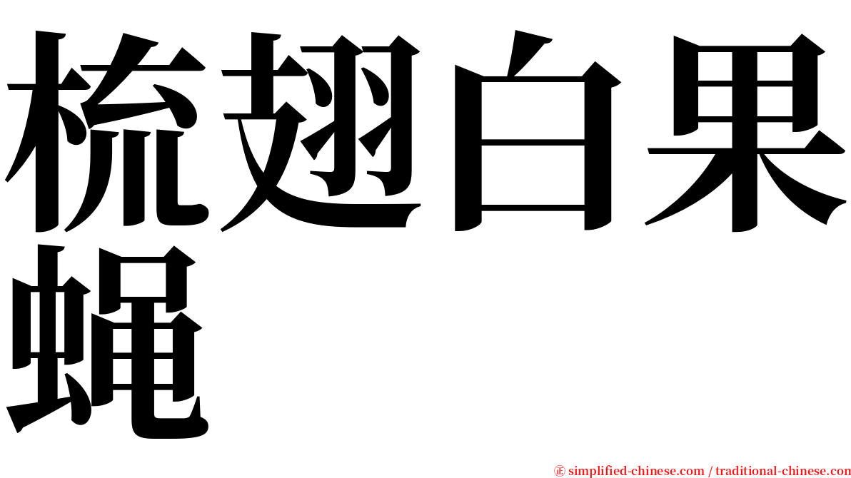 梳翅白果蝇 serif font