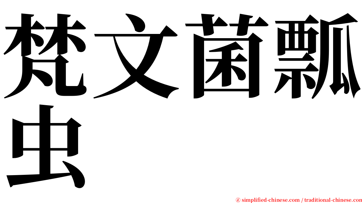 梵文菌瓢虫 serif font