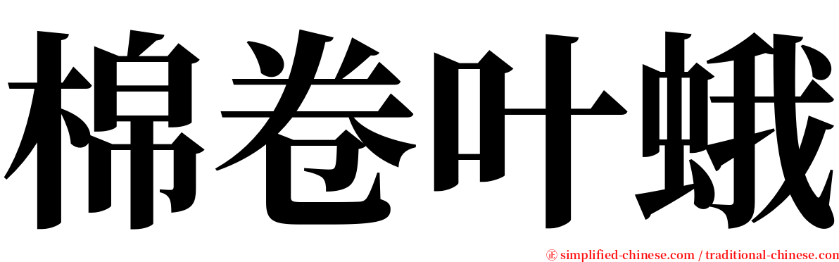 棉卷叶蛾 serif font