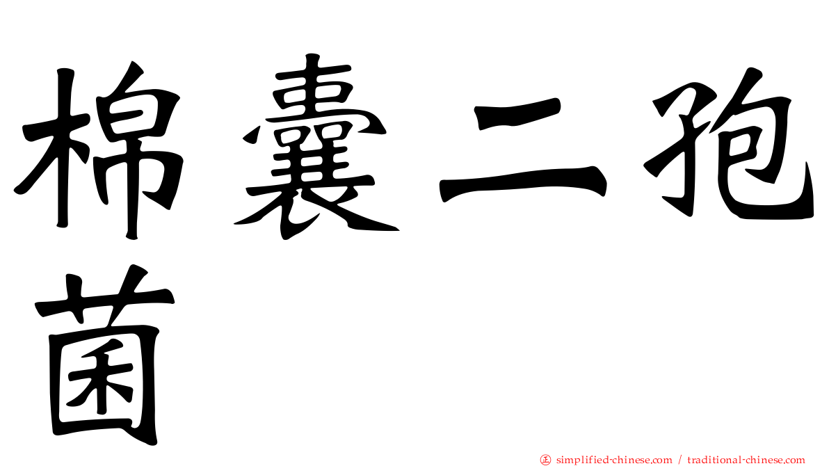 棉囊二孢菌