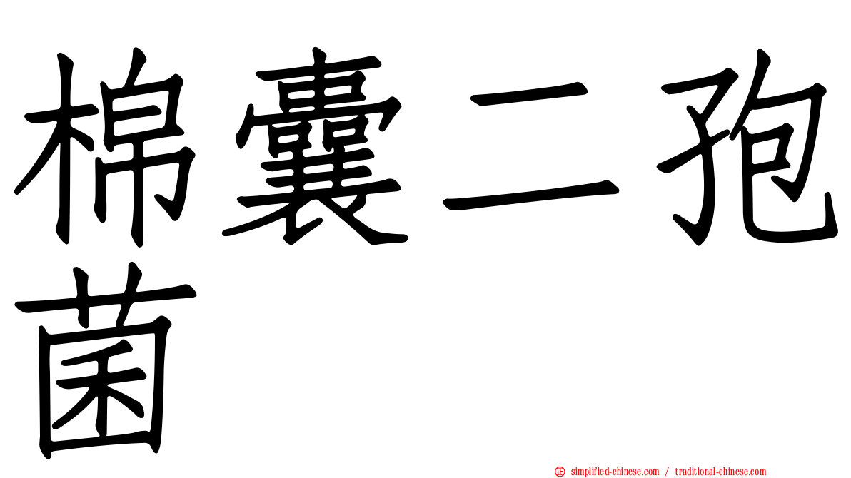 棉囊二孢菌