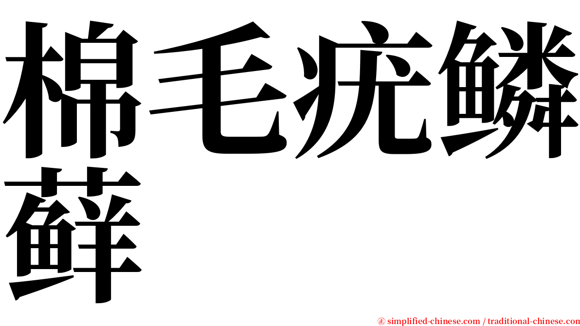 棉毛疣鳞藓 serif font