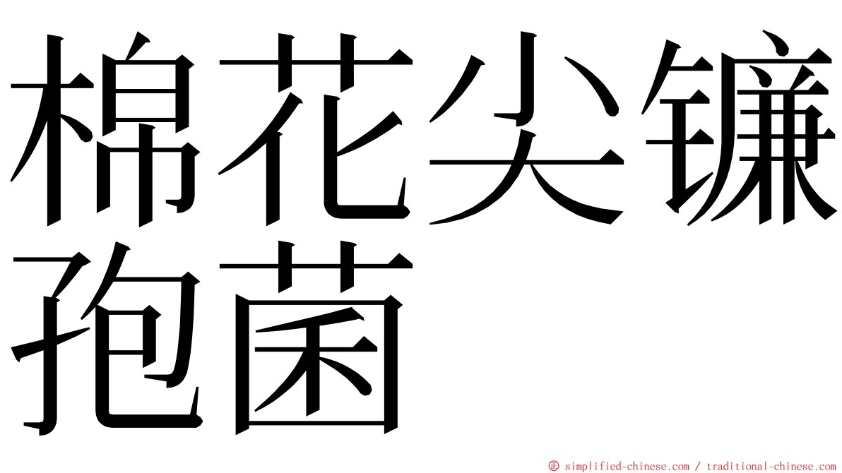 棉花尖镰孢菌 ming font