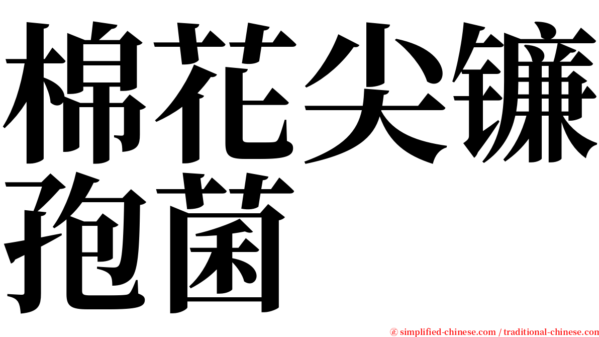 棉花尖镰孢菌 serif font