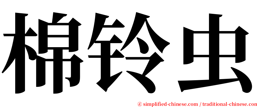 棉铃虫 serif font