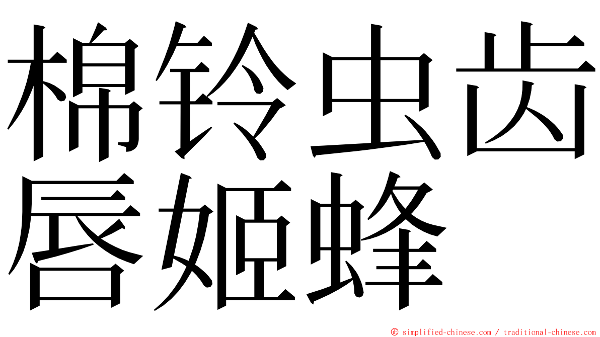 棉铃虫齿唇姬蜂 ming font