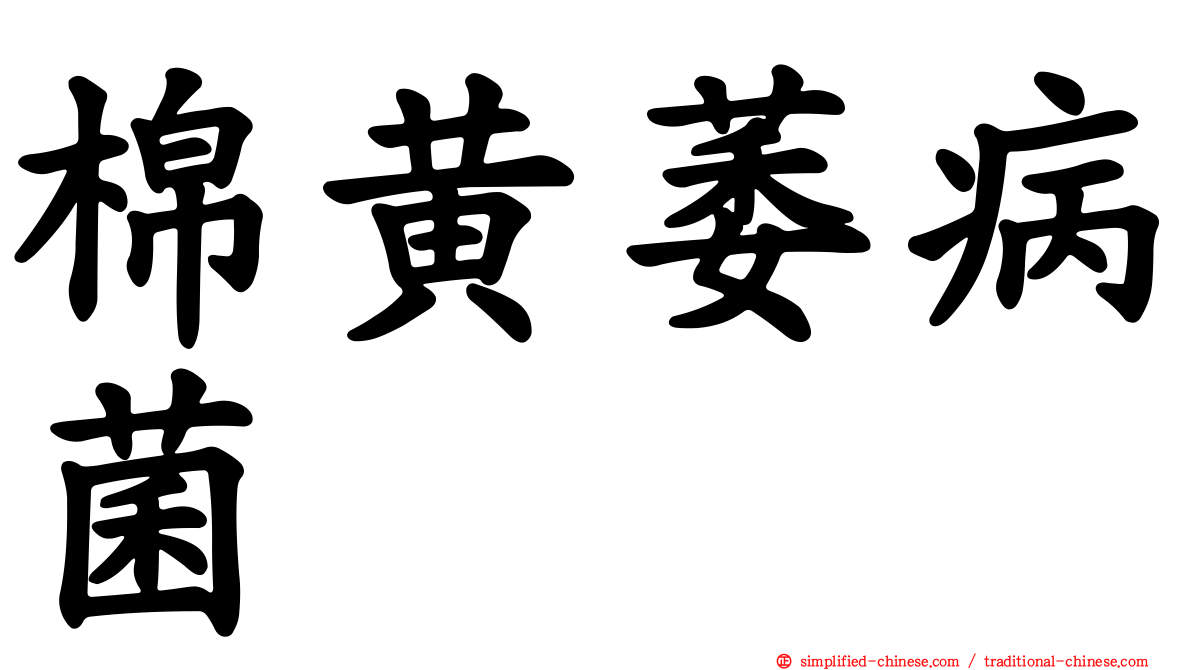 棉黄萎病菌