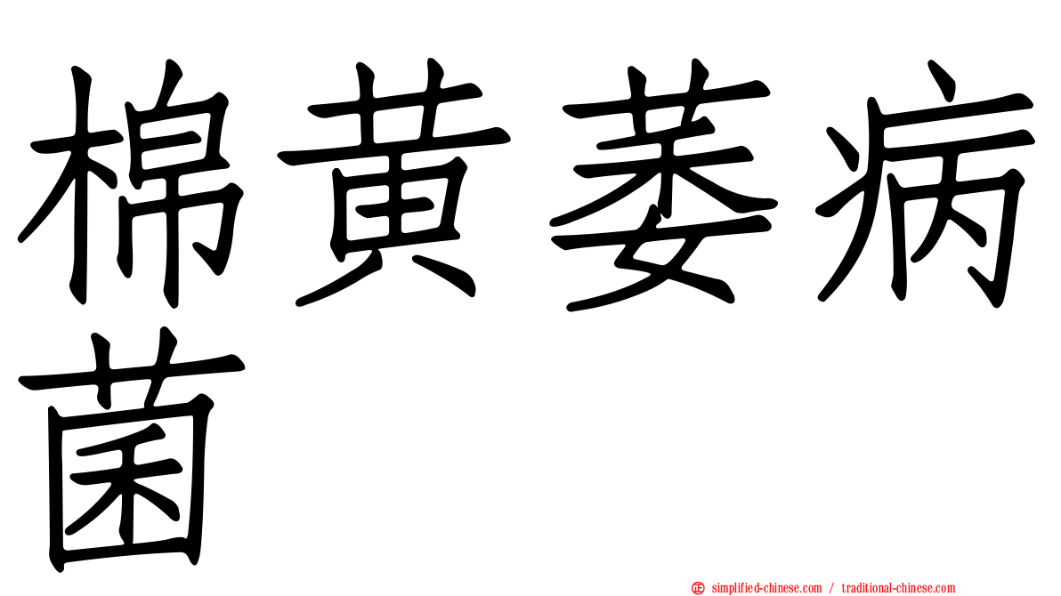 棉黄萎病菌