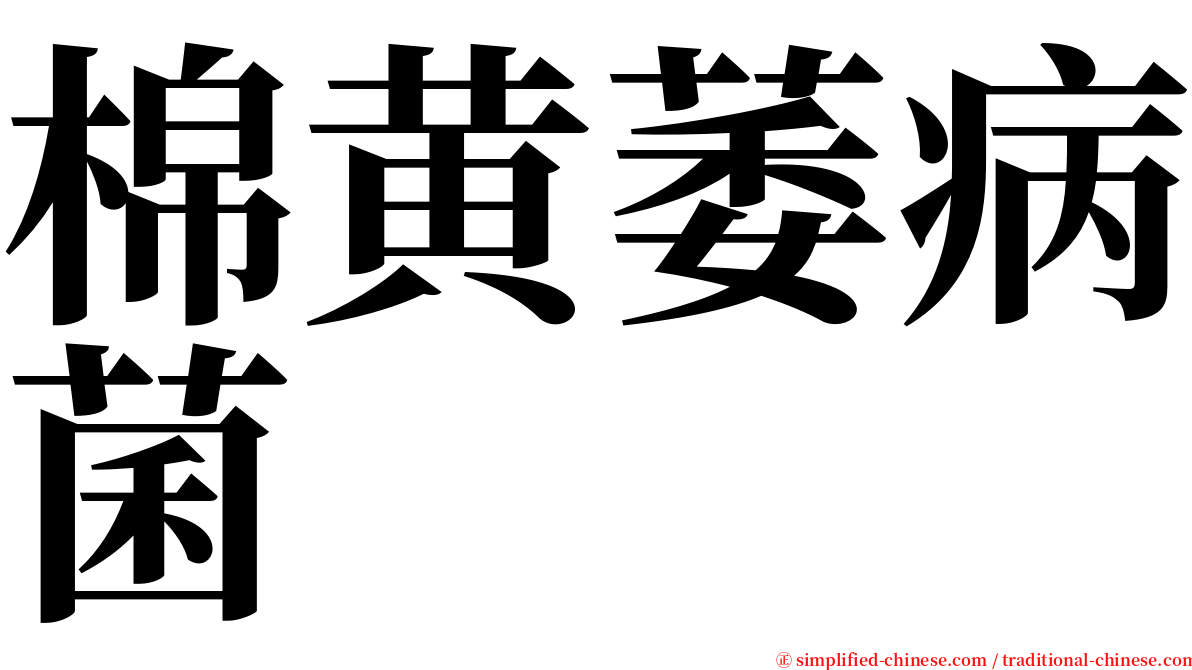 棉黄萎病菌 serif font