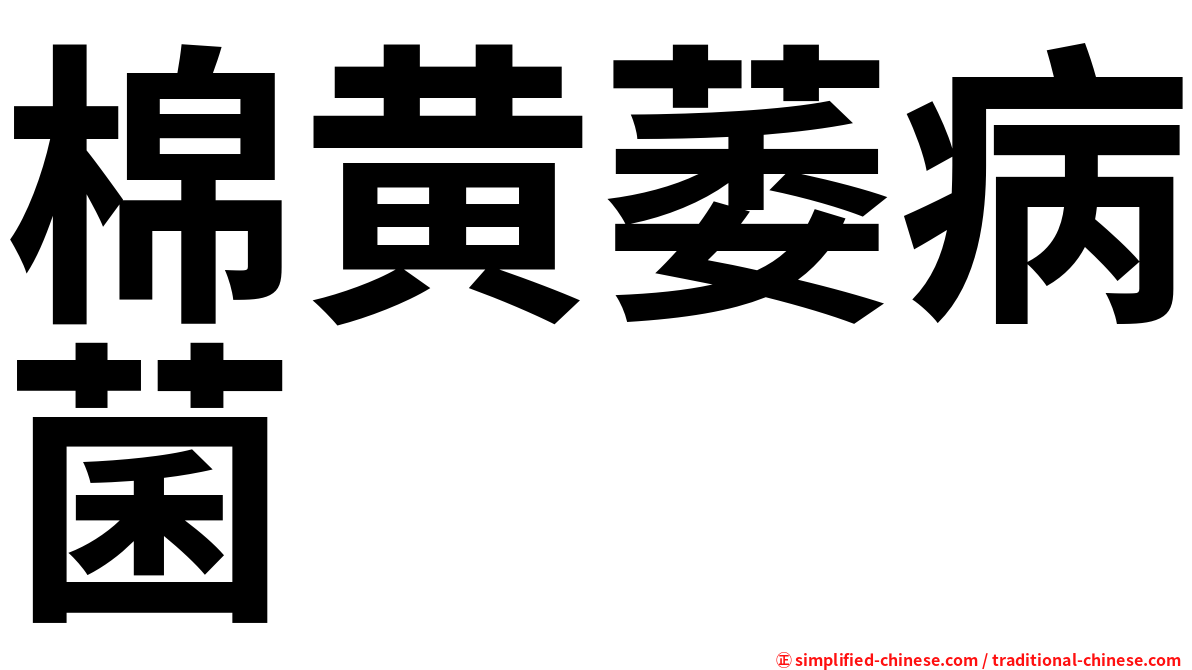 棉黄萎病菌
