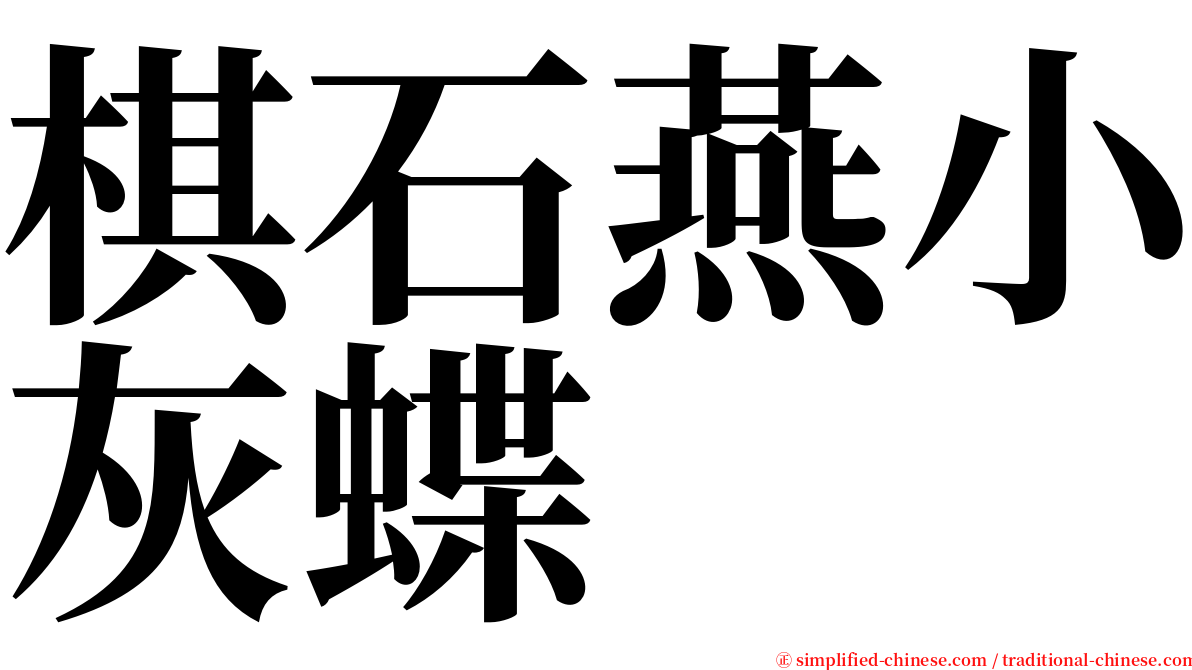 棋石燕小灰蝶 serif font