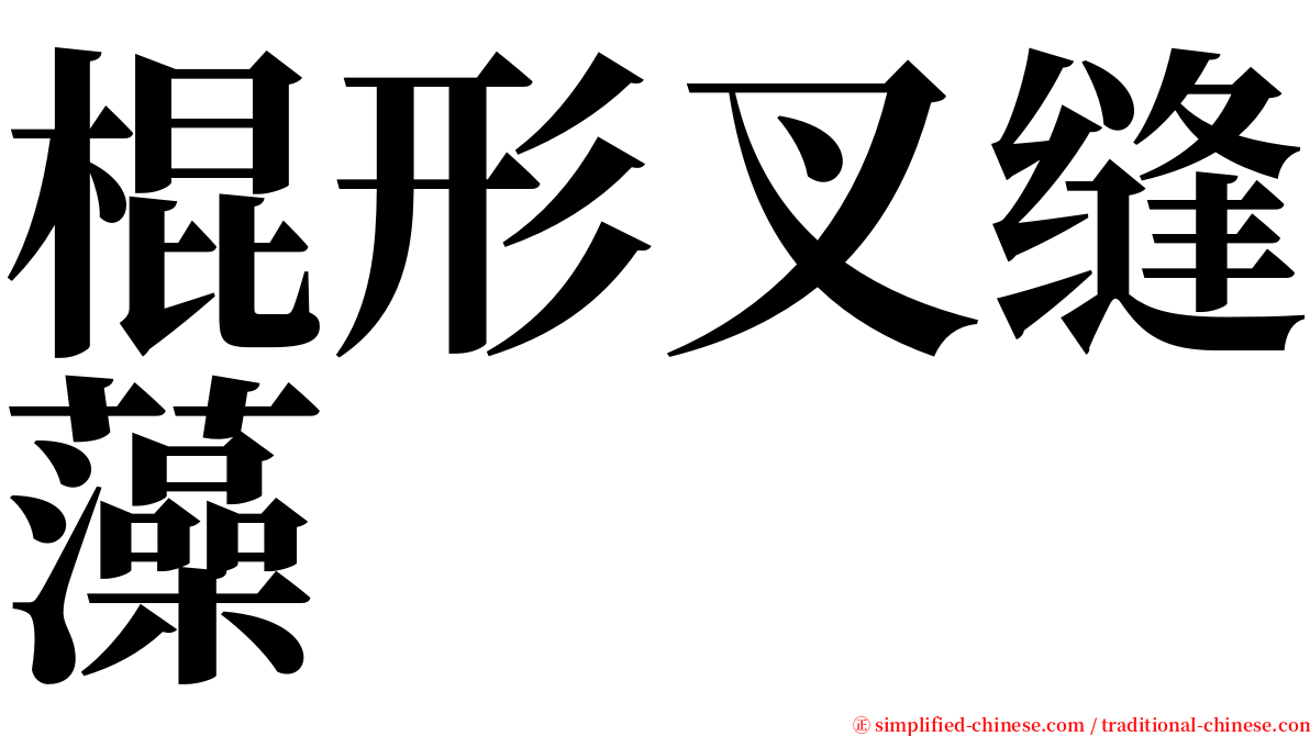 棍形叉缝藻 serif font