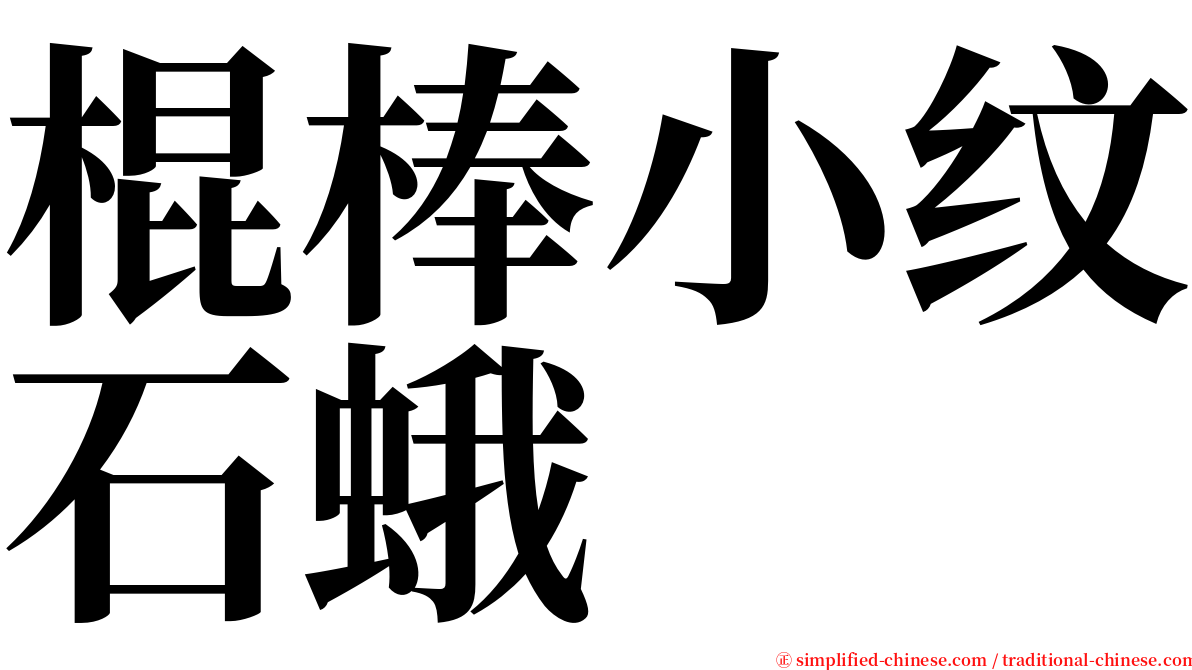 棍棒小纹石蛾 serif font