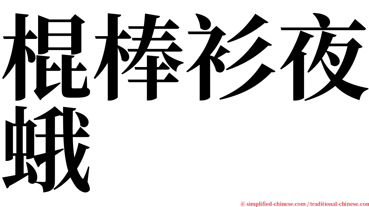 棍棒衫夜蛾 serif font