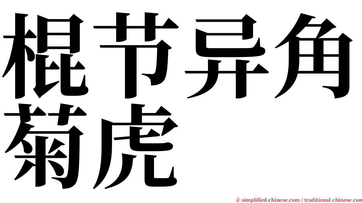 棍节异角菊虎 serif font
