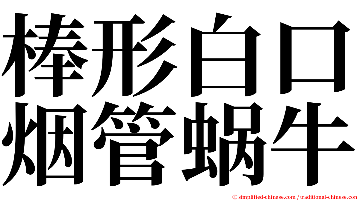 棒形白口烟管蜗牛 serif font