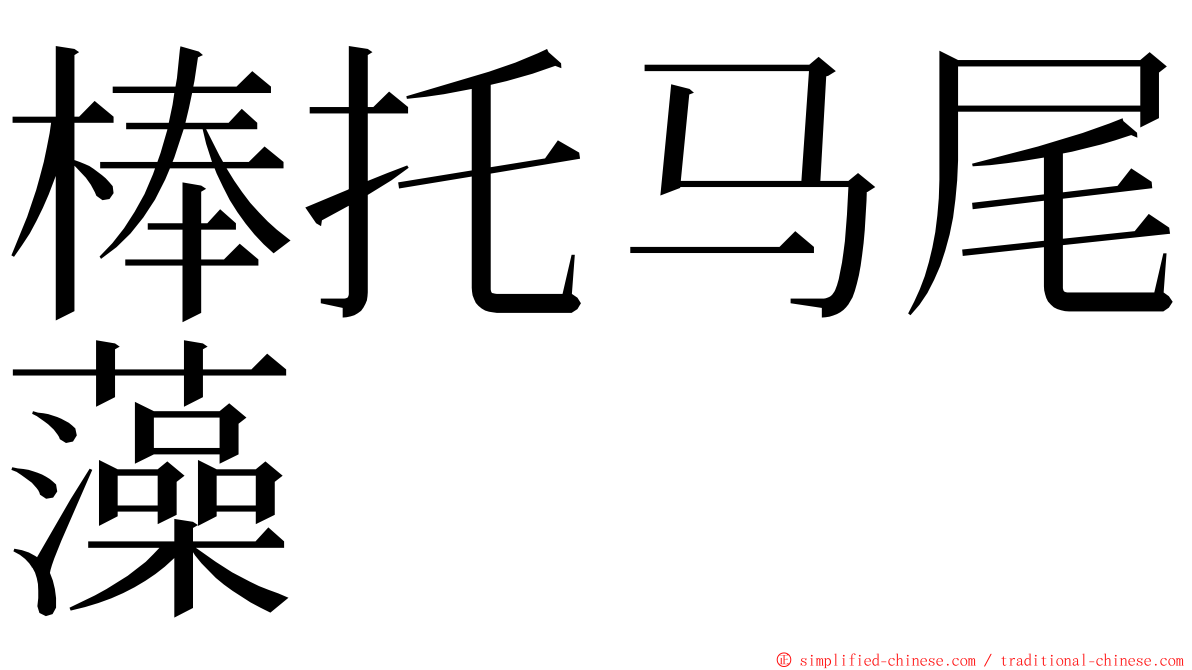 棒托马尾藻 ming font