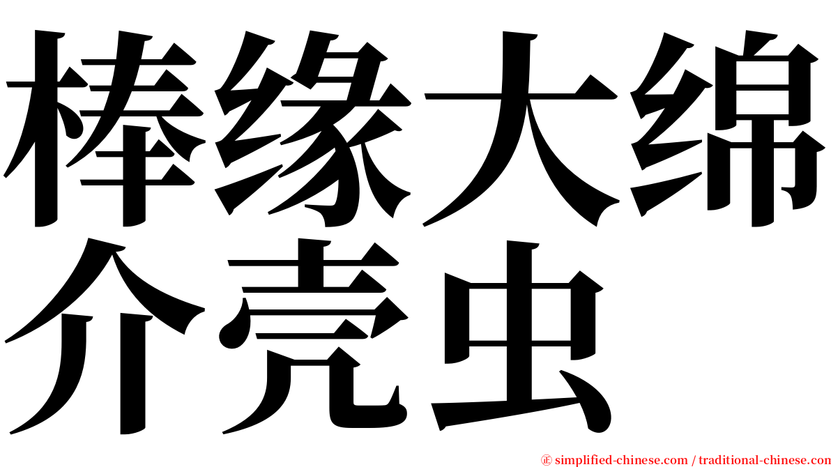 棒缘大绵介壳虫 serif font