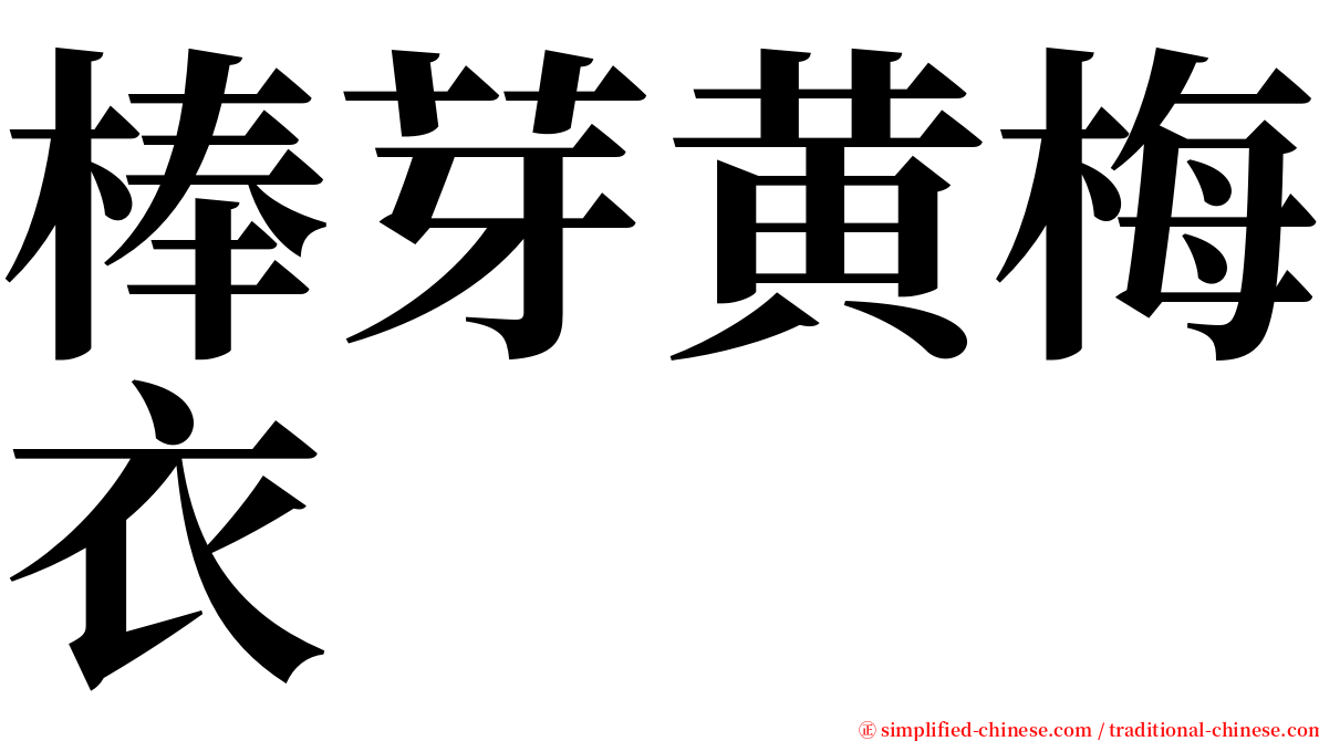 棒芽黄梅衣 serif font