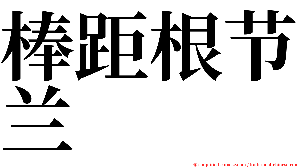 棒距根节兰 serif font