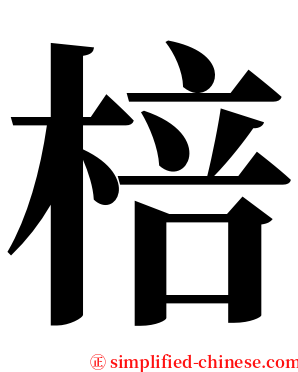 棓 serif font