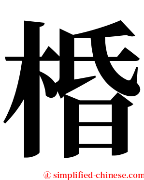 棔 serif font