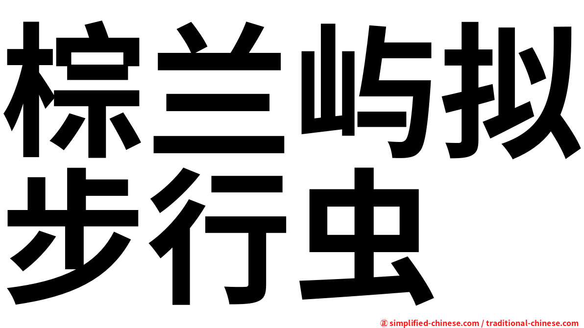 棕兰屿拟步行虫