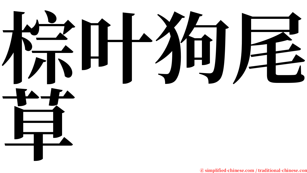 棕叶狗尾草 serif font